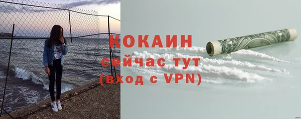 мдпв Козельск