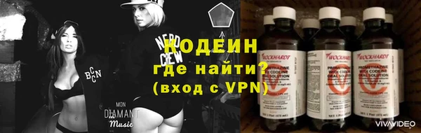 мдпв Козельск