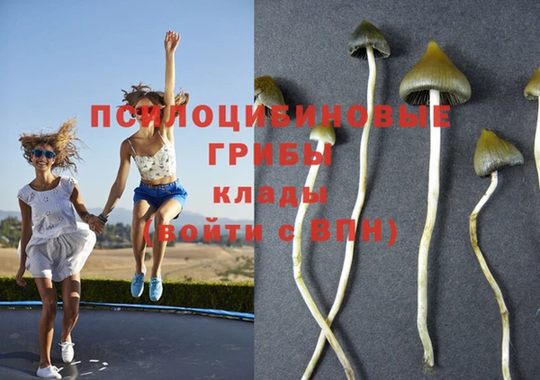 первитин Козловка