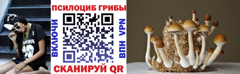 Галлюциногенные грибы мицелий  Павловская 